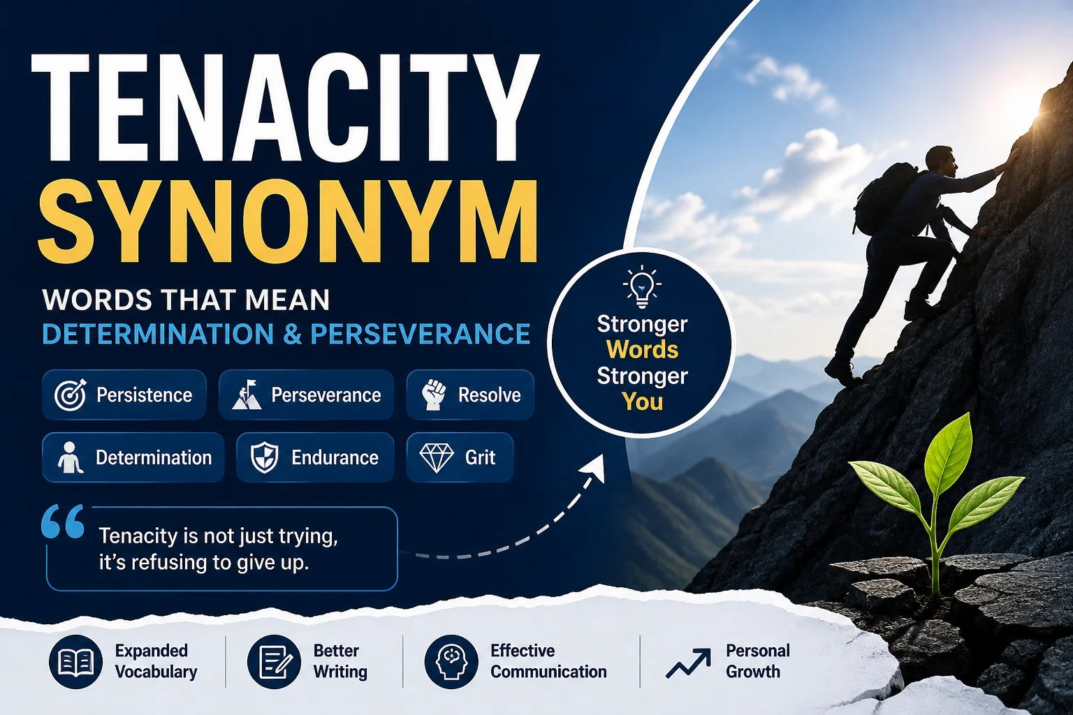 Tenacity Synonym