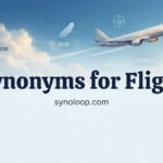 Synonyms for Flight