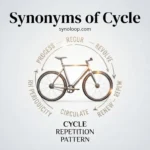 Synonyms of Cycle