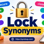 Lock Synonyms